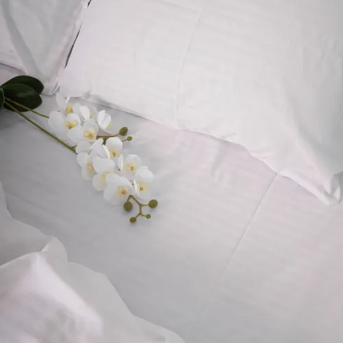 Простирадло Cotton Twill 55-0001 Romina - 2