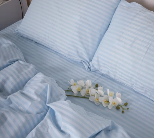 Комплект постільної білизни Cotton Twill 55-0006 Telemaco - 2