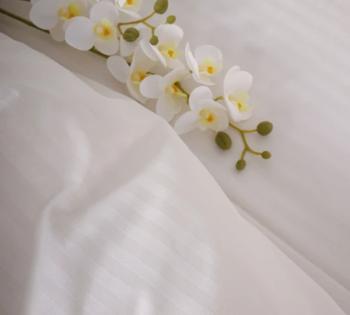 Комплект постільної білизни Cotton Twill 55-0004 Santina - 2