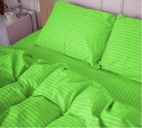 Комплект постільної білизни Cotton Twill 55-0013 Spring Green - 2