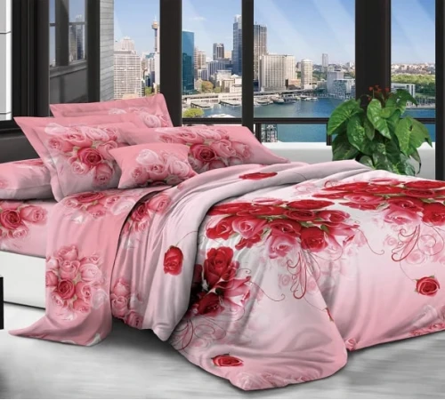 Комплект постельного белья Микрофибра принт 15-0037-1 Buenos Aires