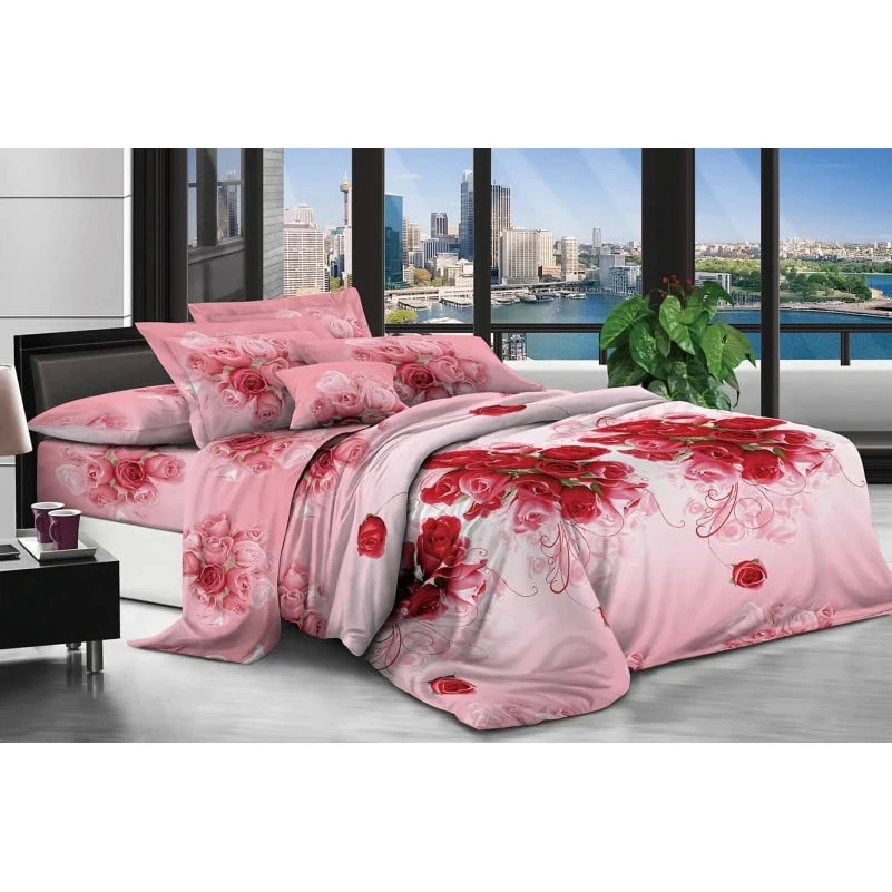 Комплект постельного белья Микрофибра принт 15-0037-1 Buenos Aires