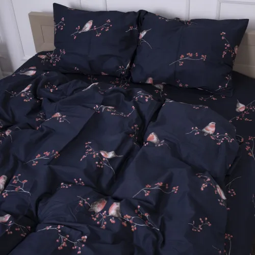 Комплект постельного белья Сатин 22-1280 Bullfinches