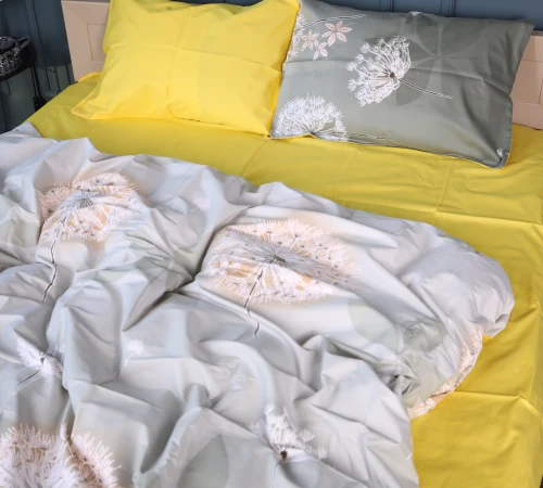 Комплект постельного белья Сатин 22-1391 Dandelion Dreams