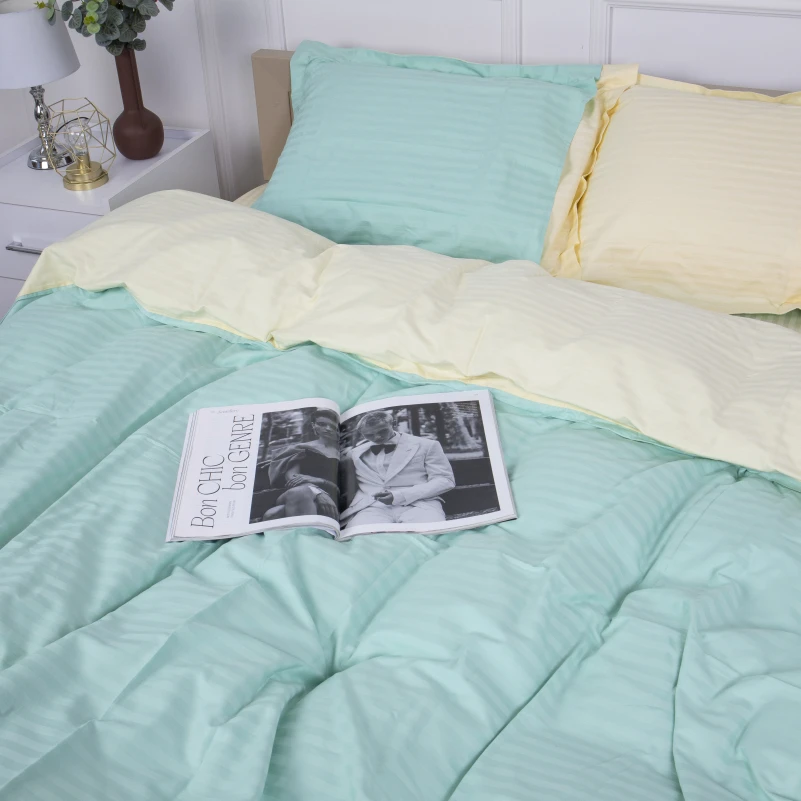 Постельное белье Satin Stripe 30-0014 + 30-0002 Fleshly