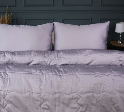 Літній постільний комплект №2995 Line Satin Premium 0251 Skyline Бавовна (ковдра + 2 наволочки) - 2