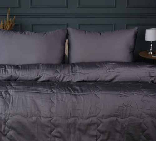 Літній постільний комплект №2993 Line Satin Premium 0240 Iron grey Бавовна (ковдра + 2 наволочки) - 2