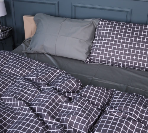 Комплект постельного белья Сатин 22-1372 Silver Checkered - 2