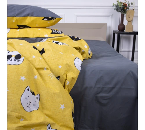 Простирадло Ranforce Elite 17-0500 -1 Twinkling