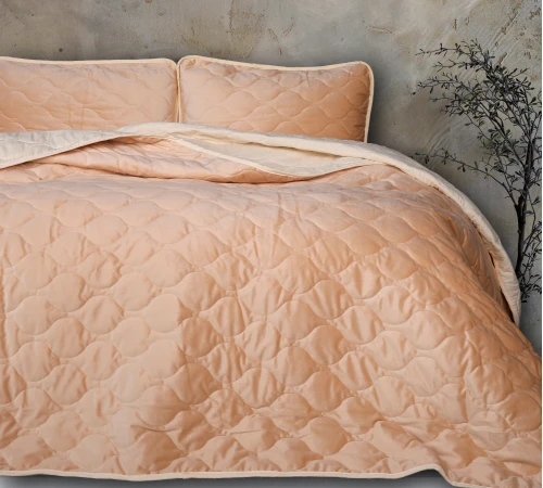 Набір покривало + наволочки 2 шт №5050 Velor charm Beige