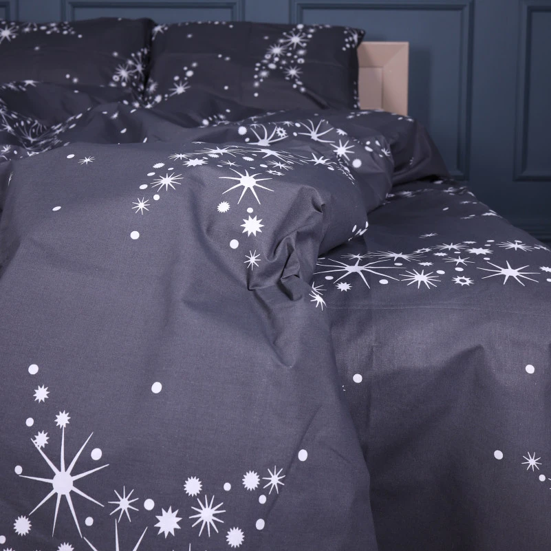 Комплект постільної білизни Бязь 17-0687 Winter Wonderland - 2
