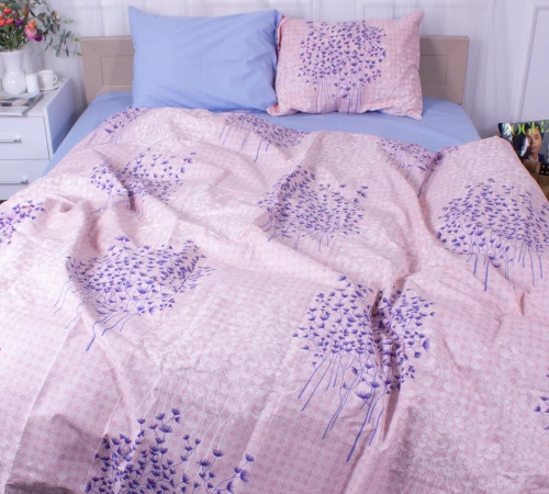 Комплект постільної білизни Бязь 17-0156 Matilde - 2