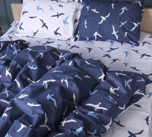 Комплект постельного белья Бязь 17-0825 Flying birds blue