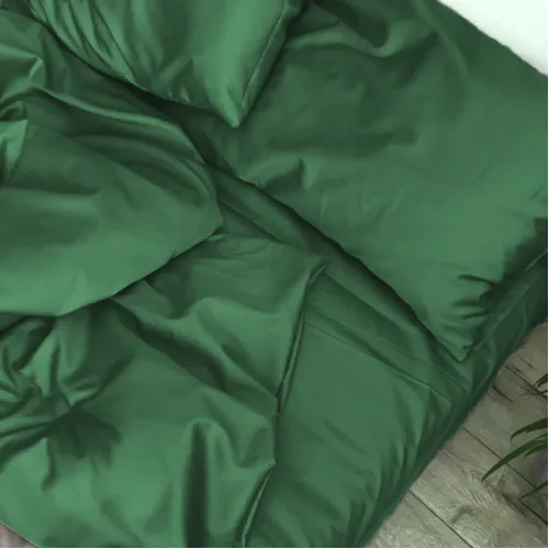Комплект постельного белья Сатин TEENAGER Satin Light Pro 10-009 Green - 2