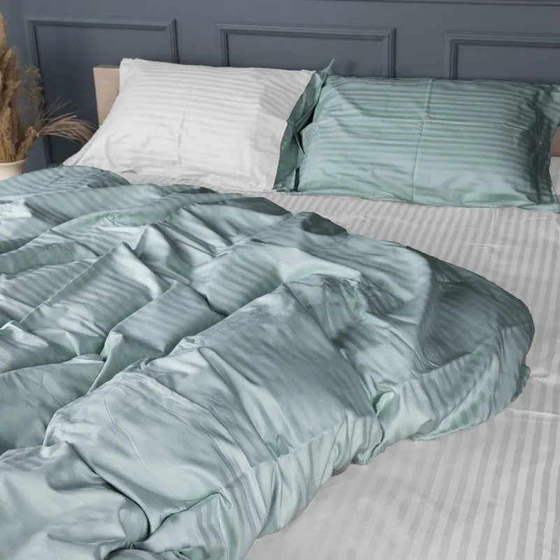 Комплект постельного белья Сатин TEENAGER Satin Stripe 30-0015 + 30-0001 Galiena