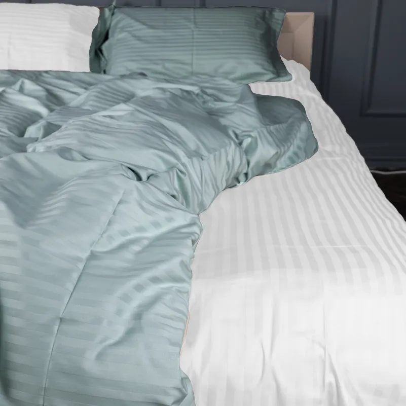 Комплект постельного белья Сатин TEENAGER Satin Stripe 30-0015 + 30-0001 Galiena - 2