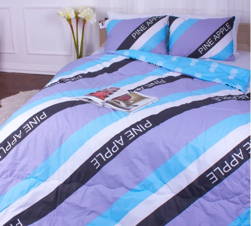 Набор антиаллергенный 3M ТМ THINSULATE ТМ Зима №5125 Сolor Fun Line (чехол бязь 100%) Oblivion (одеяло + подушка средняя) Black Friday