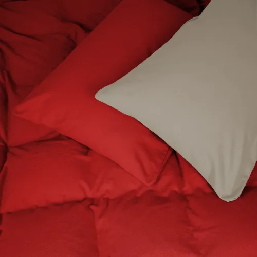 Комплект постельного белья TEENAGER Фланель 004-009 Cappuchino/Red