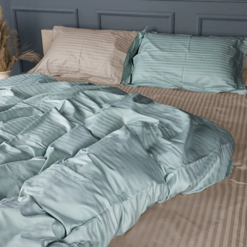 Комплект постельного белья Сатин TEENAGER Satin Stripe 30-0015 + 30-0004 Gavenia