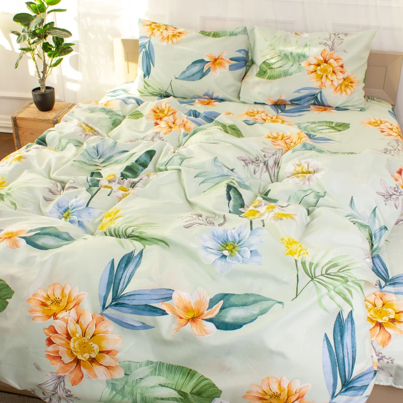 Комплект постельного белья Микрофибра принт 15-0343 Rossana - 2