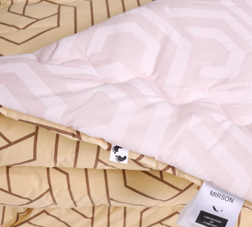 Одеяло антиаллергенное Сolor Fun Line Geometry №1422 3M ТМ THINSULATE ТМ бязь (зимнее) Black Friday - 2