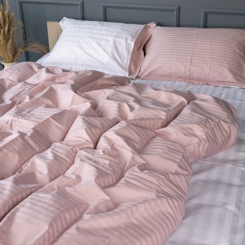 Комплект постельного белья Сатин TEENAGER Satin Stripe 30-0007 + 30-0001 Beatrisa