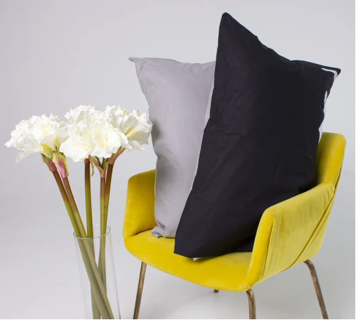 Наволочка Mirson Ranforce Elite 17-0387 Rennes