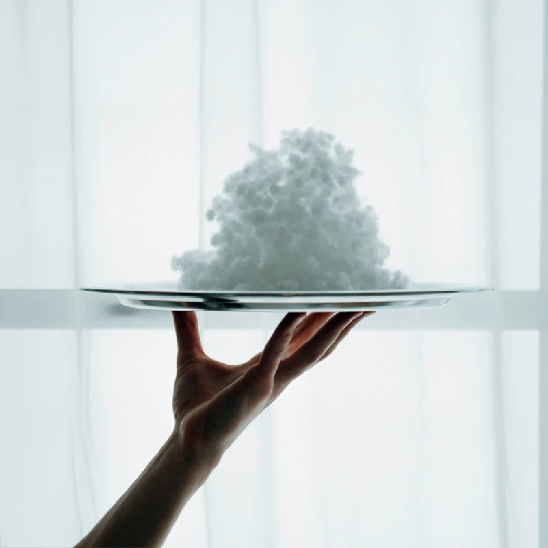 Подушка-валик №8128 Velvet Line 28-0004 Cream EcoSilk - 17