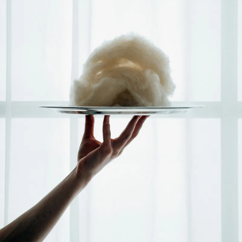 Наматрацник №1717 Eco Light Creamy (Wool) (звичайний з гумкою по кутах) - 10