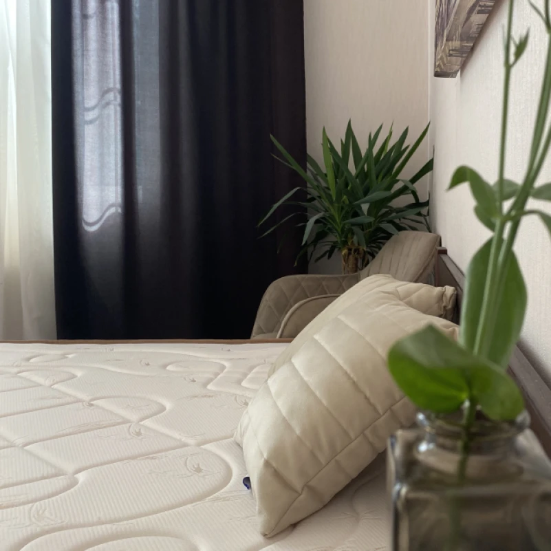 Матрац пружинний "незалежні блоки" FS Gold Memory LUX - 5