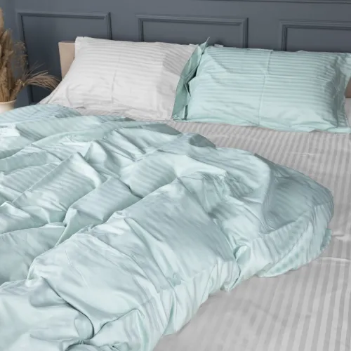 Комплект постельного белья Сатин TEENAGER Satin Stripe 30-0013 + 30-0001 Gilberta