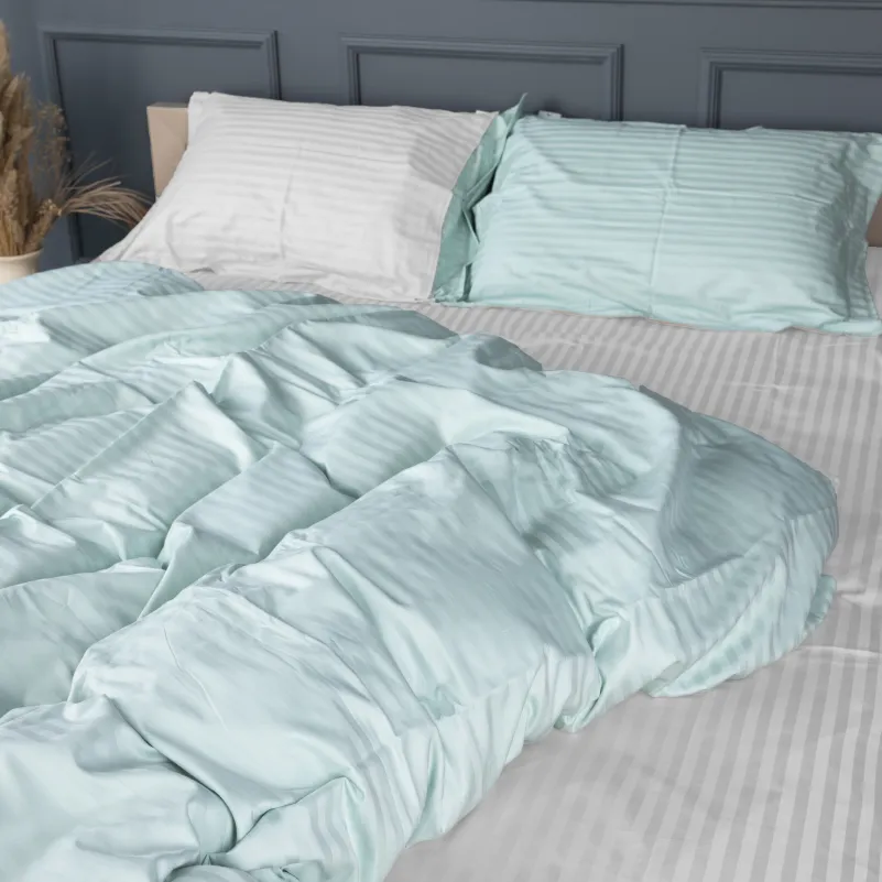 Комплект постельного белья Сатин TEENAGER Satin Stripe 30-0013 + 30-0001 Gilberta