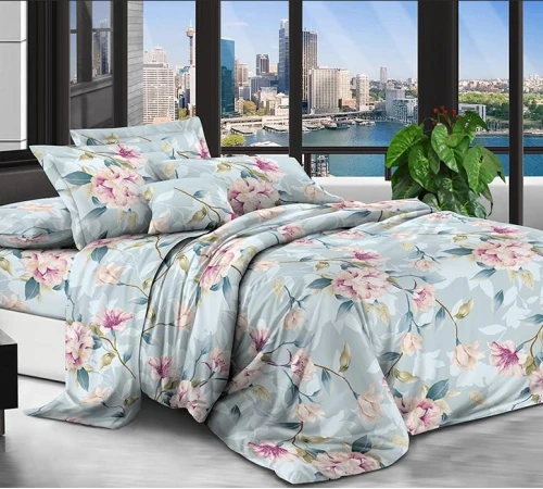 Комплект постельного белья Микрофибра принт 15-0617 Livorno