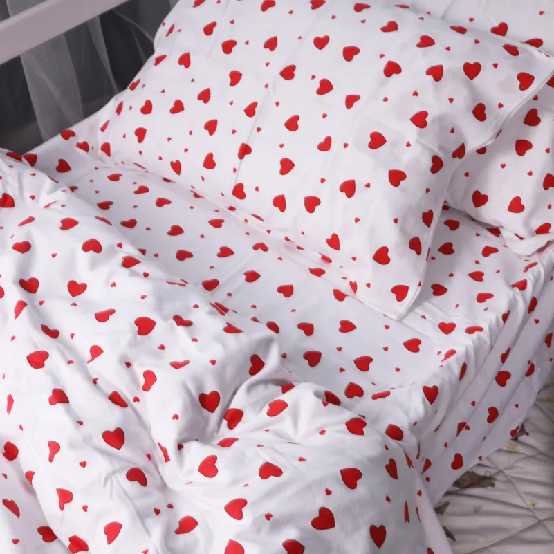 Комплект постельного белья TEENAGER Фланель 015 Love - 6
