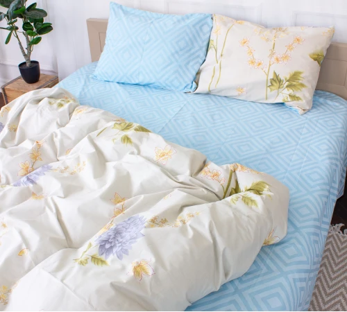 Простирадло Ranforce Elite 17-0581 Ponzio - 2