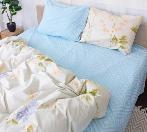 Простирадло Ranforce Elite 17-0581 Ponzio