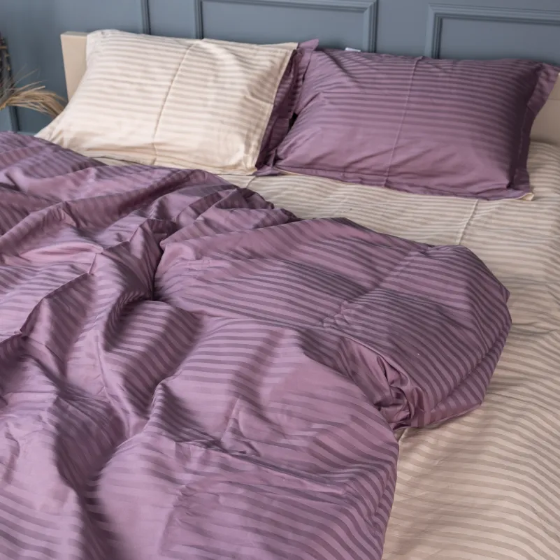 Комплект постельного белья Сатин TEENAGER Satin Stripe 30-0008 + 30-0004 Waleis