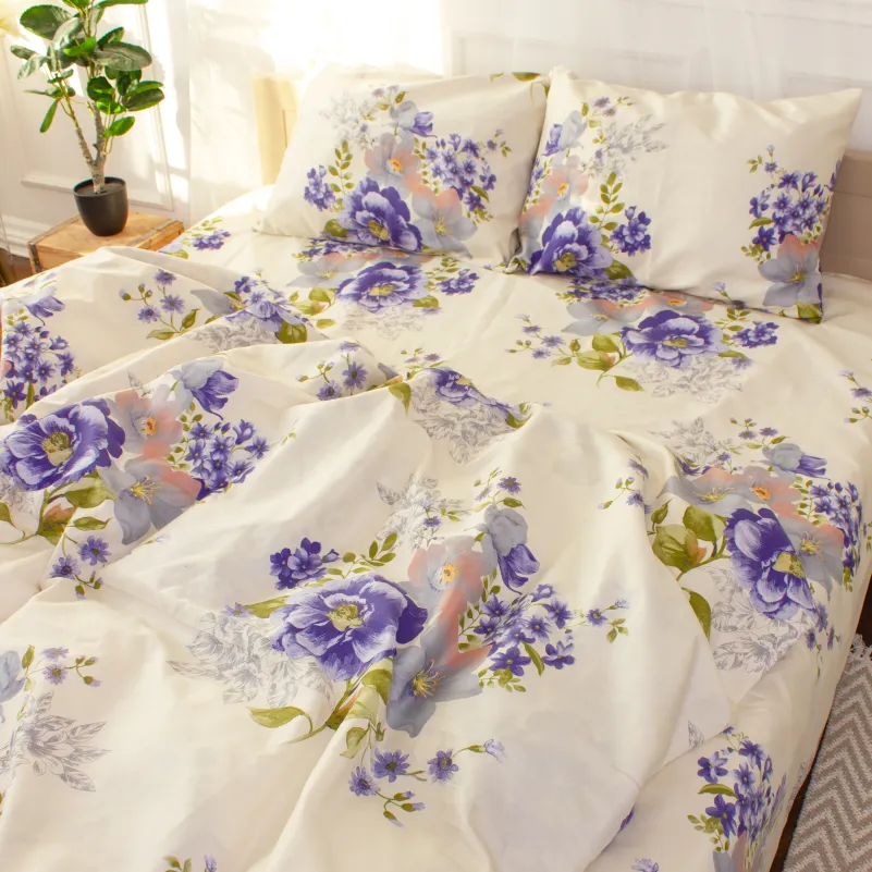 Пододеяльник Микрофибра принт 15-0339 Trey - 2