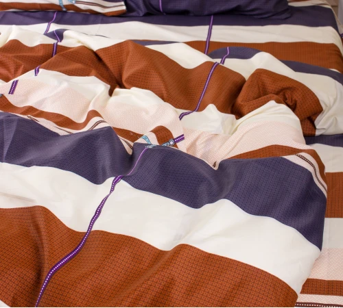 Комплект постельного белья Микрофибра принт 15-0337 Selino - 2