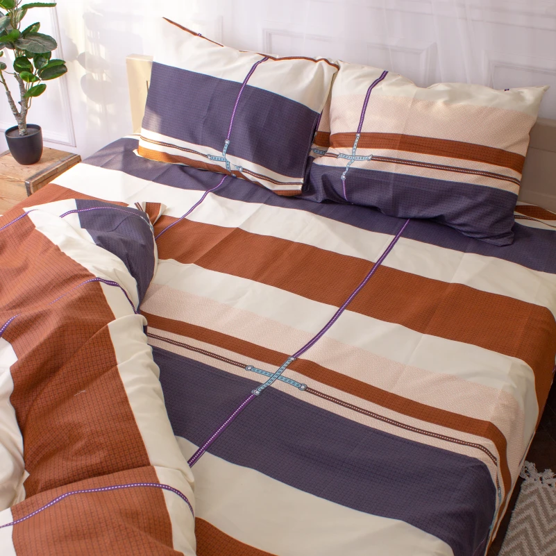 Комплект постельного белья Микрофибра принт 15-0337 Selino - 6