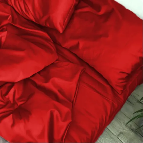 Комплект постельного белья Сатин TEENAGER Satin Light Pro 10-007 Red - 2