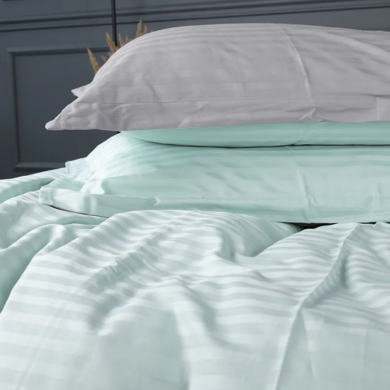 Комплект постельного белья Сатин TEENAGER Satin Stripe 30-0013 + 30-0010 Windly - 2
