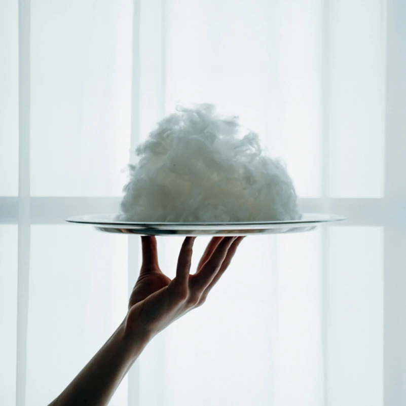 Одеяло шелковое Deluxe №0509 шелк Капок батист (зимнее) - 12