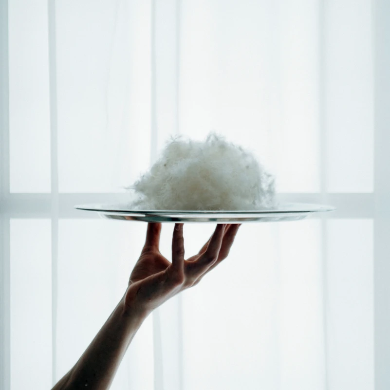 Одеяло пуховое кассетное DeLuxе №030 100% пух Deluxe class батист (зима) - 25