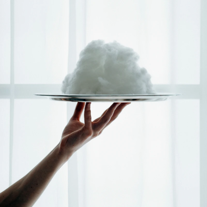 Одеяло эвкалиптовое Royal Hand Made №662 Eucalyptus сатин (зимнее) - 14