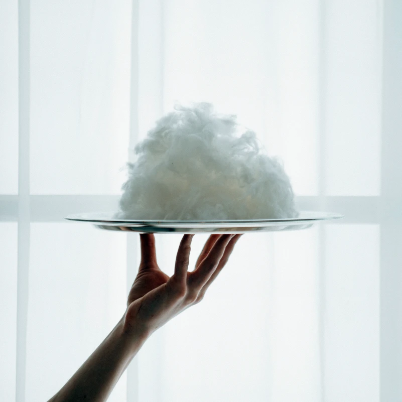 Одеяло шелковое Hand Made Deluxe №0534 шелк Капок батист (зимнее) - 11