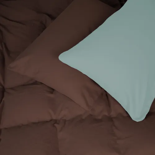 Комплект постельного белья JUNIOR Фланель 006-003 Menthol/Brown - 2