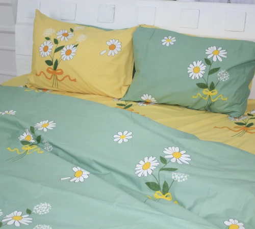 Простирадло Ranforce Elite 17-0396 Dudley - 2