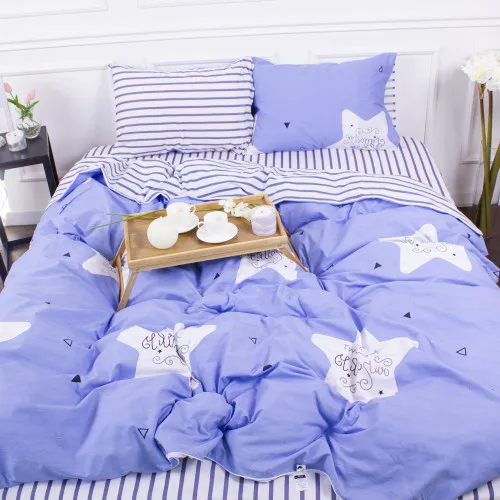 Комплект постільної білизни Бязь 17-0349 Slovakia