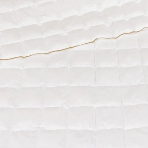 Ковдра пухова касетна Raffaello №050 90% сірий пух Standart / 10% перо тик Premium (літня)